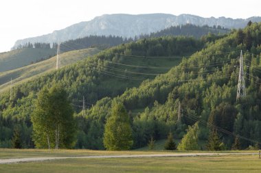 Dağlardaki yeşil bir çayırda yüksek voltajlı elektrik hatları