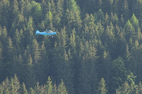 A small plane flies over the coniferous forest in the mountains.