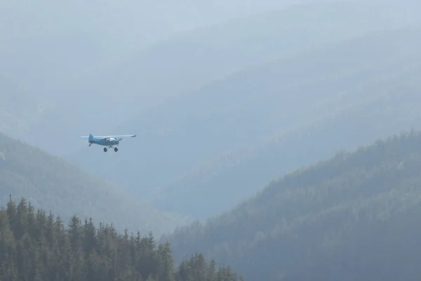 Вид Воздуха Небольшой Частный Самолет Летящий Горах Над Сосновым Лесом — стоковое фото
