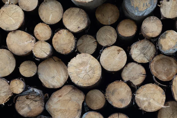 Stapeln Von Holzstämmen Holzstapel Aus Holzstämmen Hintergrund — Stockfoto