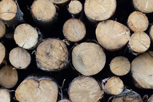 Pile Drewna Jako Tło Widok Bliska — Zdjęcie stockowe