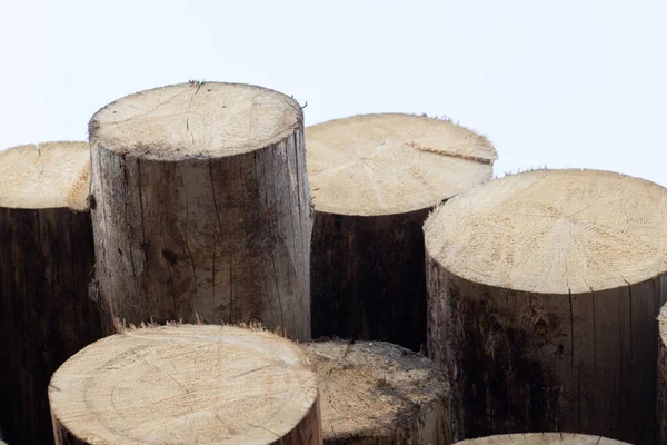 Купа Зрізаних Стовбурів Дерев Ізольовані Білому Тлі — стокове фото