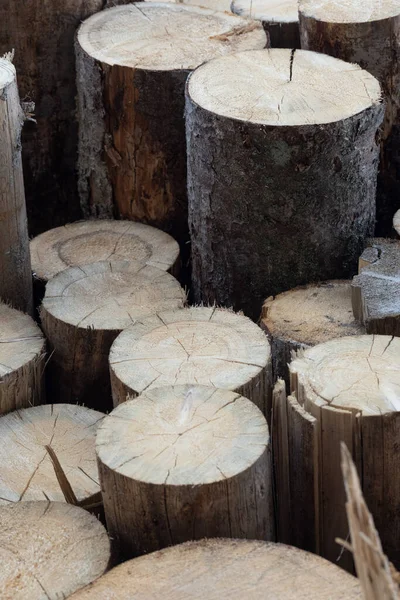 Haufen Abgeschnittener Baumstämme Isoliert Auf Weißem Hintergrund — Stockfoto
