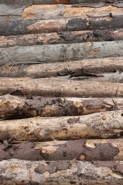 Stapel Von Holzstämmen Einem Haufen Als Hintergrund Oder Textur — Stockfoto