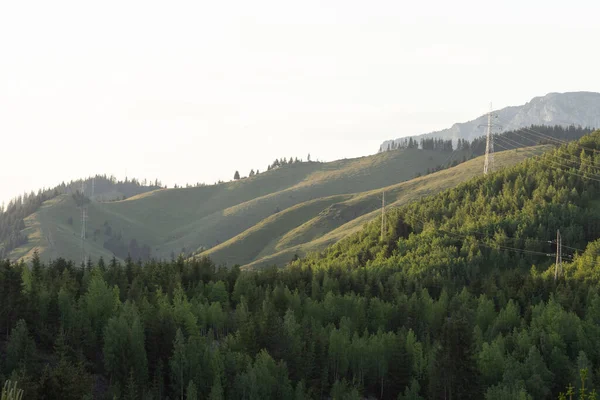 針葉樹林と高電圧伝送ラインと山の風景食べる夕日 — ストック写真