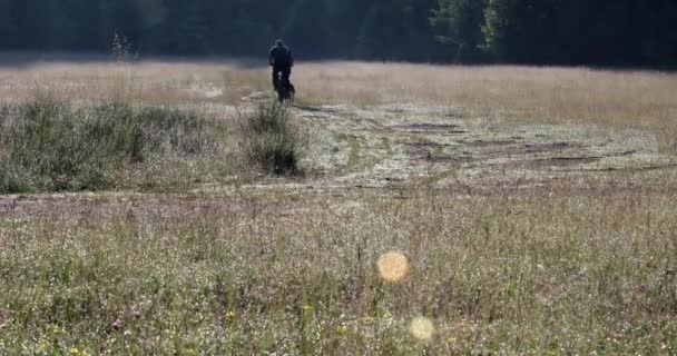 夏に緑の野原で自転車で男を引っ張る犬 — ストック動画