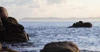 Açık güneşli bir günde dalgalı okyanus suyunun yanında rüzgar türbini çiftliği