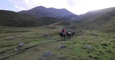 Stepantsminda Georgia 'da Kafkasya dağ yolunda bavul taşıyan at konvoyu..