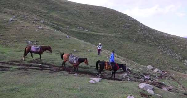 Konvoj Koní Vezoucí Zavazadla Kavkazské Horské Stezce Stepantsmindě Georgia Kazbek — Stock video