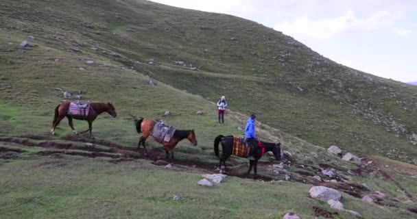 Hästkonvoj Som Transporterar Bagage Kaukasus Bergsstig Stepantsminda Georgien Kazbek Trek — Stockvideo