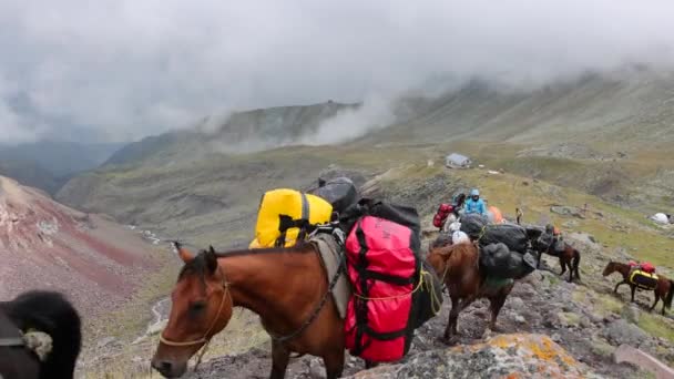 在Stepantsminda格鲁吉亚Kazbek旅行的高加索山区小径运送行李的车队 — 图库视频影像