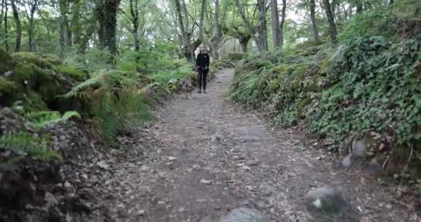 男人和女人带着狗在森林小径上散步 — 图库视频影像