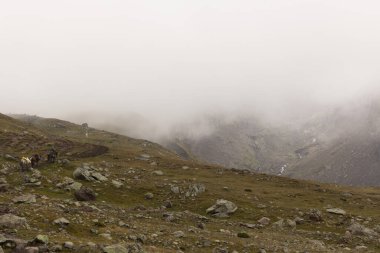 Gürcistan 'daki Kafkas dağlarının manzarası. Kazbek Dağı yakınlarında. Turistler için bavulu olan at karavanıyla.