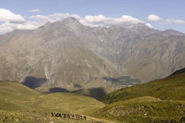 Gergeti 'deki Kazbek Dağı' nda, Gürcistan Kafkasya 'daki zirveye giden yolda yaz günü valizli bir at kervanı.
