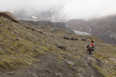 Gürcistan 'daki Kafkasya dağlarındaki Kazbegi Dağı' nda turistler için bavul taşıyan yük atlarının manzarası.