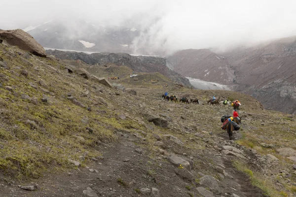 Gürcistan 'daki Kafkasya dağlarındaki Kazbegi Dağı' nda turistler için bavul taşıyan yük atlarının manzarası.