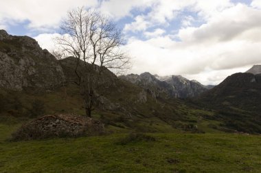 İspanya 'nın kuzeyindeki Picos de Europa Ulusal Parkı' nda sonbahar boyunca dağ köyünün Panorama manzarası