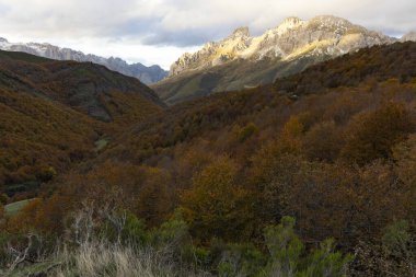 Picos de Europa Ulusal Parkı Sonbahar boyunca renkli yapraklar ve günbatımında parlak dağ sırtı ile