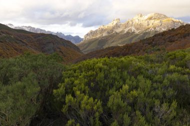 Sonbaharda Picos de Europa ulusal parkının panoramik manzarası Sonbaharda parlak renkli yapraklar ve kayalık zirvesiyle