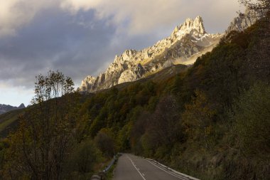Picos de Europa ulusal park yolunun sonbahar ormanı boyunca uzanan manzarası Kuzey İspanya 'da parlak renkli yapraklar ve gün batımıyla