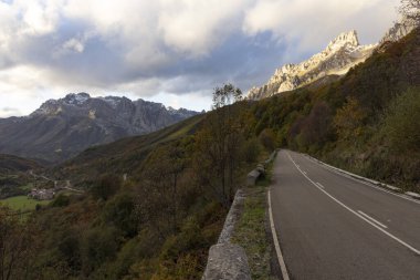 Picos de Europa ulusal park yolunun sonbahar ormanı boyunca uzanan manzarası Kuzey İspanya 'da parlak renkli yapraklar ve gün batımıyla