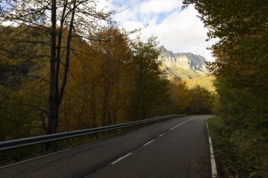 İspanya 'nın kuzeyindeki Picos de Europa ulusal parkı boyunca asfalt yol sonbahar boyunca parlak yapraklar ve günbatımıyla
