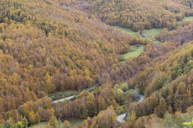 Picos de Europa ulusal park yolunun sonbahar ormanı boyunca uzanan manzarası Kuzey İspanya 'da parlak renkli yapraklar ve gün batımıyla