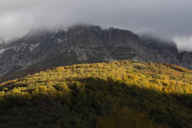 Günbatımında parlak günbatımı gökyüzü ve kuzey İspanya 'da renkli sarı ve turuncu yapraklı sonbahar ormanı ile Avrupa Tepeleri Ulusal Parkı manzarası