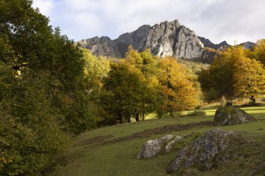 Picos de Europa ulusal parkı gün batımında. Gün batımında parlak yapraklar ve renkli sarı ve turuncu renklerle dağ manzarası