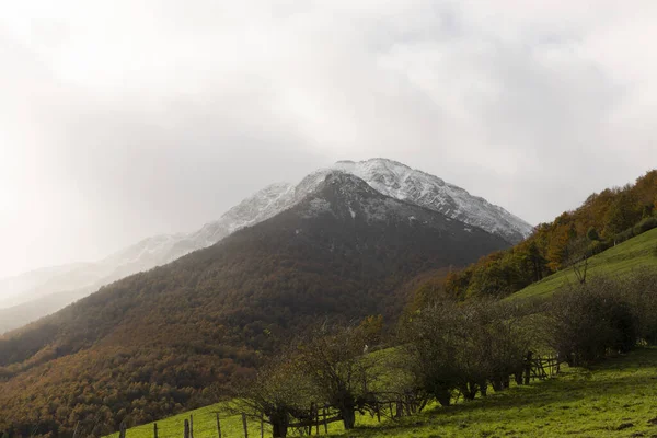 İspanya 'nın doğal parkındaki Kuzey Cantabrian dağlarında sonbahar boyunca yeşil çayırlı orman manzarası