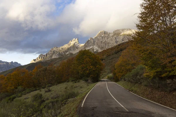 Picos de Europa ulusal park yolunun sonbahar ormanı boyunca uzanan manzarası Kuzey İspanya 'da parlak renkli yapraklar ve gün batımıyla