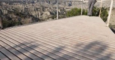 Genç bir kadın güneşli bir günde Gürcistan 'daki Vashlovani Milli Parkı' nı geziyor.