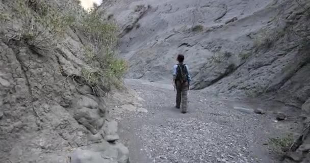 Mujer Joven Caminando Cañón Haciendo Caminata Parque Nacional Vashlovani Georgia — Vídeos de Stock