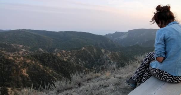 Panoramiczny Krajobraz Góry Parku Narodowego Vashlovani Gruzji Słoneczny Dzień — Wideo stockowe
