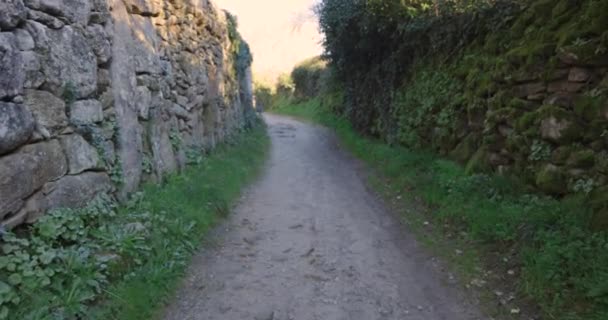 Caminando Por Carretera Medieval Con Muros Piedra Abandonados Con Vegetación — Vídeos de Stock
