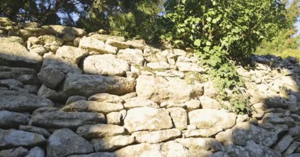 Panorámica Pared Piedra Medieval Con Vides Hiedra Atardecer — Vídeos de Stock