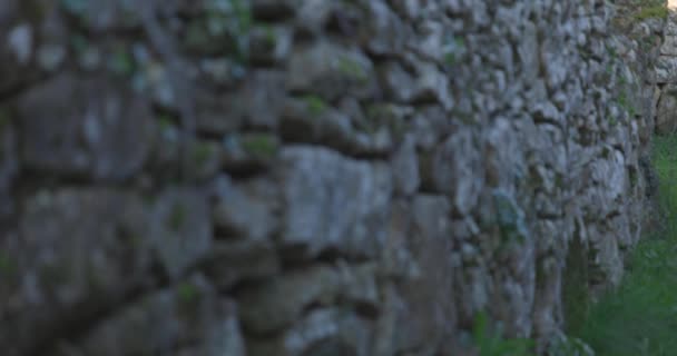 Panning Średniowiecznego Kamiennego Muru Bluszczu Winorośli Zachodzie Słońca — Wideo stockowe