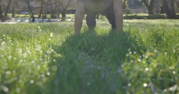 Фокусе Видео Молодой Тощий Мужчина Отжимается Траве Яркий Солнечный День — стоковое видео