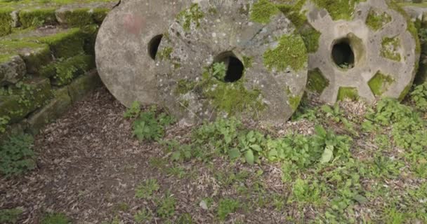 Opuštěný Starověký Kámen Vodní Mlýn Budovy Rostoucí Vegetace Detail Slunný — Stock video