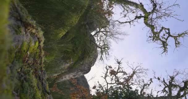 Vertikální Timelapse Video Horské Krajiny Mechem Zelené Kameny Stromy Zasažené — Stock video