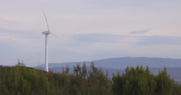 明るい青空で晴れた日に電気を回転させる山の上の風力タービン農場 — ストック動画