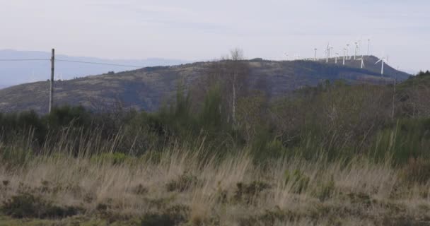 Szélturbinafarm Hegytetőn Villamos Energiát Termel Egy Napsütéses Napon Tiszta Kék — Stock videók