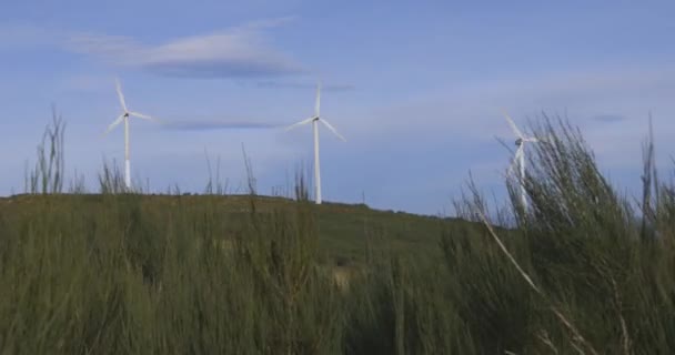 Elektriska Vindkraftverk Snurrar För Elproduktion Blå Himmel Bakgrund — Stockvideo