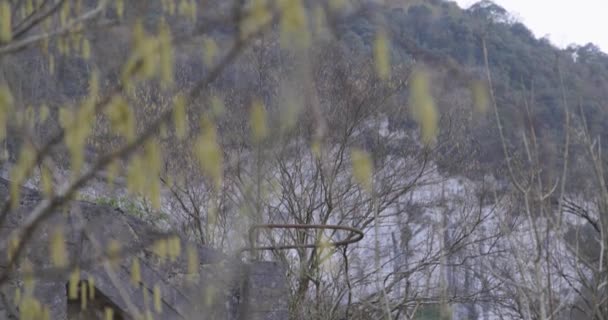 森で放棄された石炭キャリッジのための古い錆ついた採鉱カートのトロリー — ストック動画