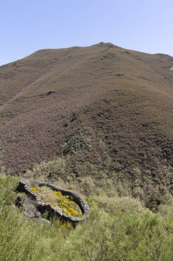 Taş Cortin yuvarlak terk edilmiş arı kovanından korunma yapısı Asturias İspanya 'da açık güneşli bir bahar gününde ayılardan korunuyor..