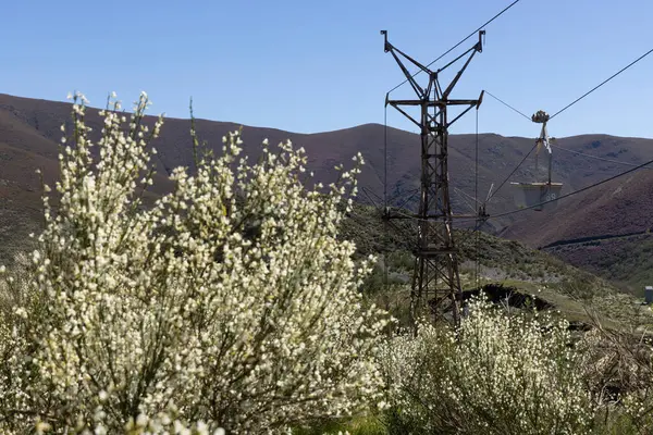 Abandoned industrial coal mining cart on cableway with rusty metal tower with cable on a bright sunny spring day with flower meadow and blue sky