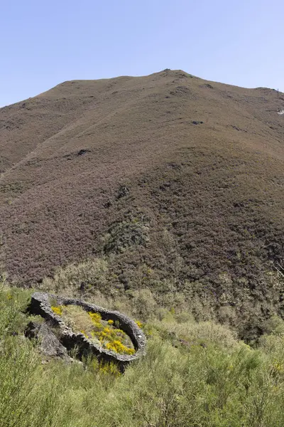 Taş Cortin yuvarlak terk edilmiş arı kovanından korunma yapısı Asturias İspanya 'da açık güneşli bir bahar gününde ayılardan korunuyor..