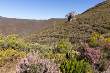 Tormaleo 'daki Asturias dağlarındaki sanayi kömür madenciliği kablolarından kuleleri olan terk edilmiş çelik yapı güneşli bir bahar günü çiçeklerle dolu.