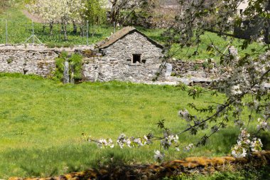 İspanya 'nın Asturias bölgesindeki Tormaleo köyünde yeşil bitki örtüsünün yanında güneşli bir bahar gününde geleneksel küçük taş su değirmeni..