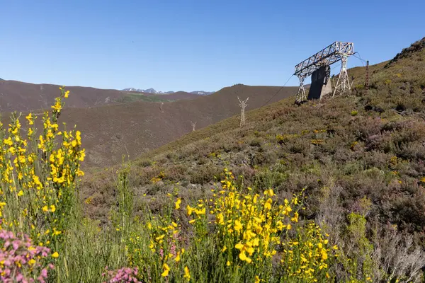 stock image Abandoned steel structure with towers from industrial coal mining cableway in mountains of Asturias Spain in Tormaleo on a sunny spring day with flowers